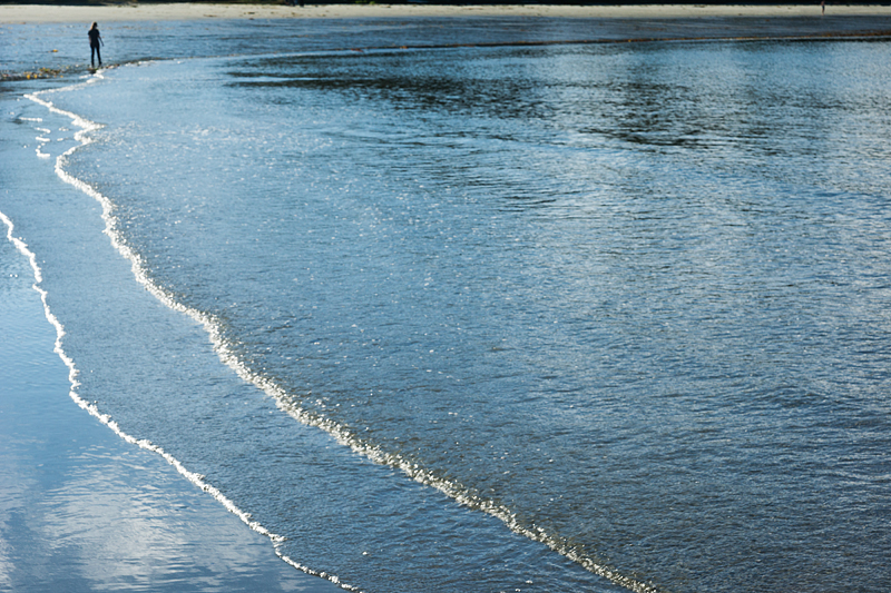 Tofino Tide Chart