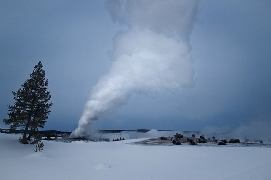 Photographing Yellowstone