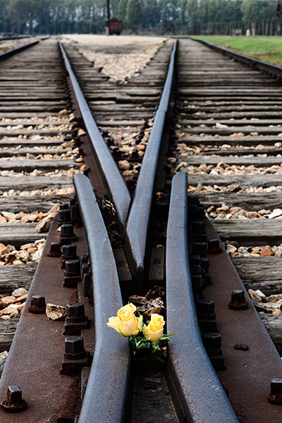 visiting Auschwitz-Birkenau