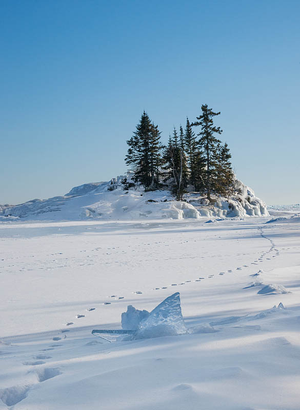 snow tracks in winter