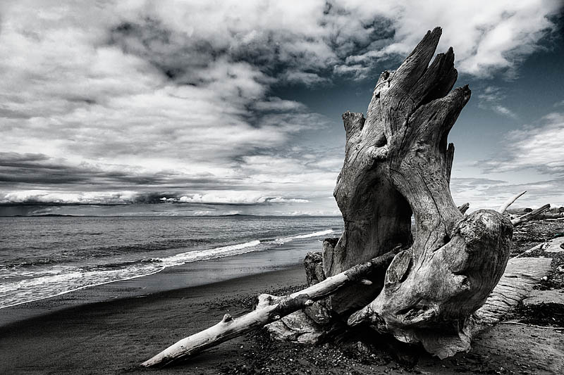 Dungeness Spit, Sequim, WA, USA