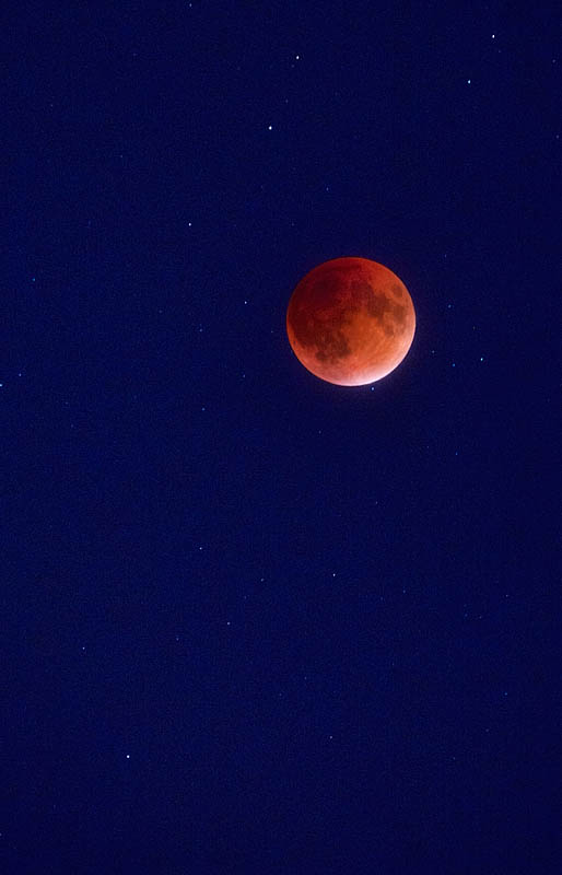 Blood moon during lunar total eclipse in September 2015 over Evansville, IN, USA