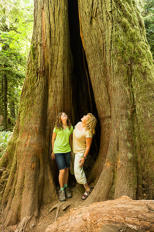 Cathedral Grove hike