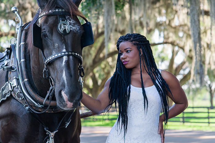 Horse drawn carriage tour of horse farms, Ocala, Florida