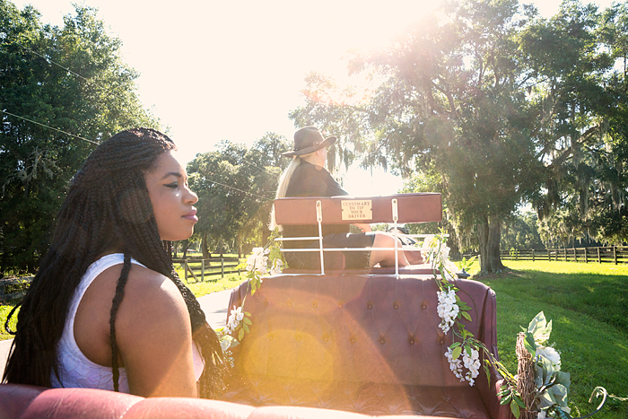 Horse drawn carriage tour of horse farms, Ocala, Florida