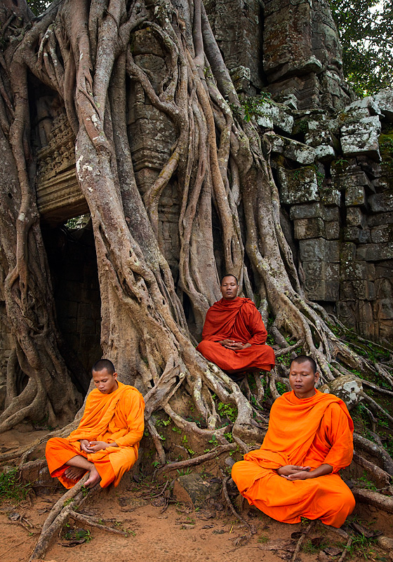 mystery photo monks praying under tree