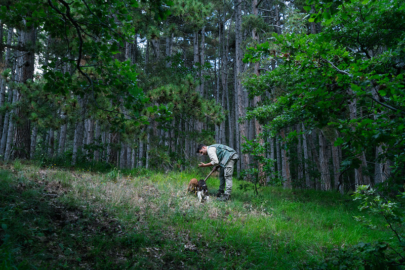 truffle hunting in Abruzzo Italy