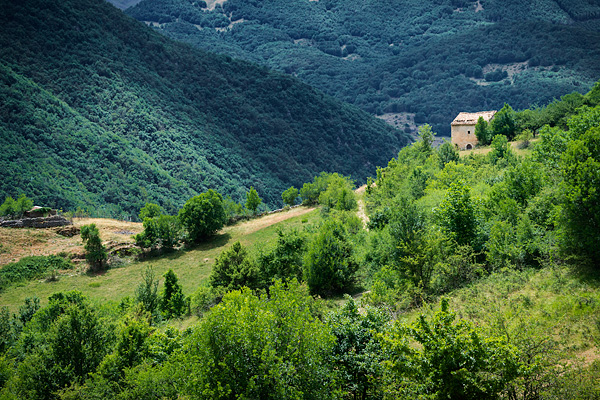 Transhumanza, Abruzzo, Italy