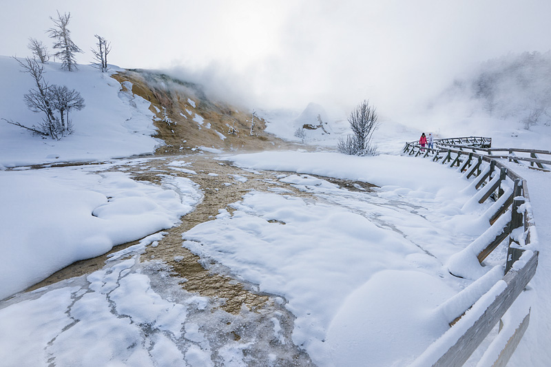 Yellowstone National Park, Mammoth Hot Springs, winter, Wyoming, USA