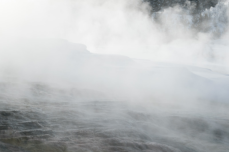 Yellowstone National Park, Wyoming, USA