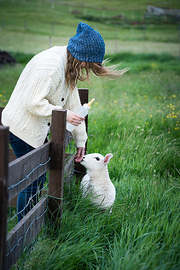 Girl feeds a baby lamb in Scotland