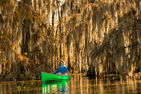 Fishing on Lake Martin, Breaux Bridge