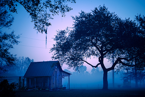 Lake Martin, Breaux Bridge, Louisiana