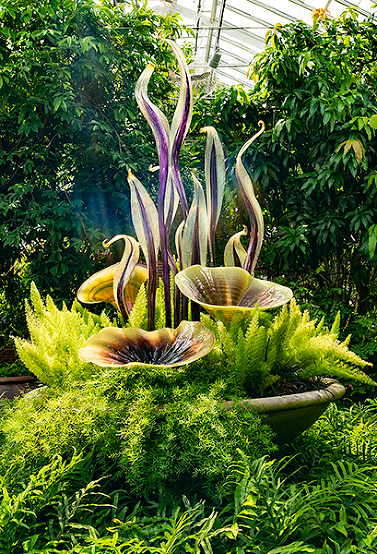 24 hours in Pittsburgh Phipps Botanical gardens