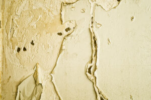 yellow wallpaper