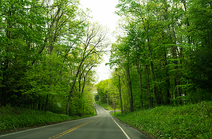 Driving in WV