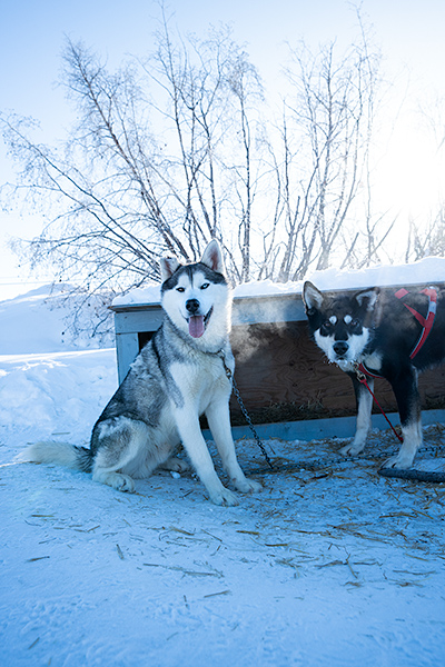 Winter Activities in Yellowknife
