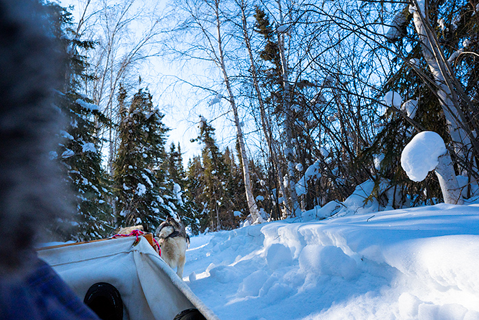 Winter activities in Yellowknife, NWT, Canada