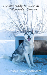 Fun winter activities in Yellowknife, Canada