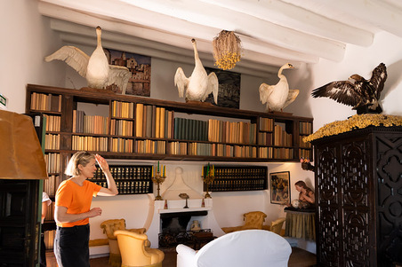 Library, Home and studio, Dali